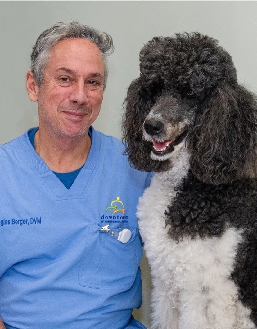 Douglas Berger Battery Park Veterinary Hospital Douglas berger battery park veterinary hospital